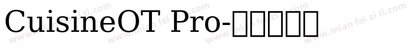 CuisineOT Pro字体转换